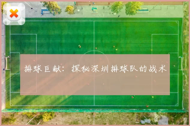 排球巨献：探秘深圳排球队的战术