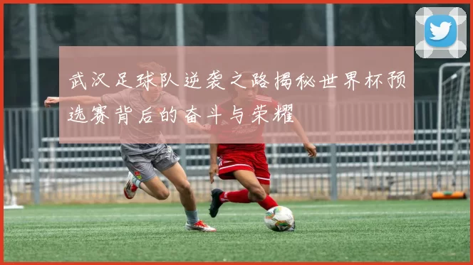 武汉足球队逆袭之路揭秘世界杯预选赛背后的奋斗与荣耀