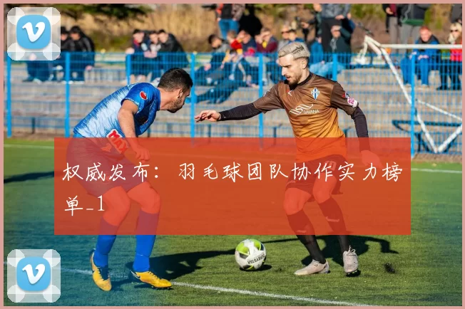 权威发布：羽毛球团队协作实力榜单_1