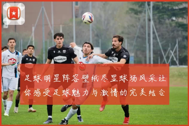 足球明星阵容壁纸尽显球场风采让你感受足球魅力与激情的完美结合