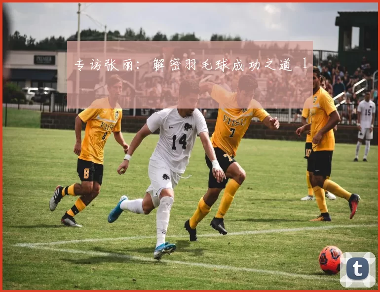 专访张丽：解密羽毛球成功之道_1