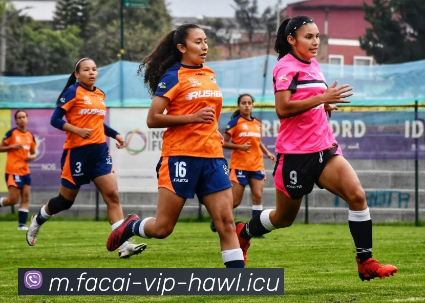 开云体育APP 高清赛事图